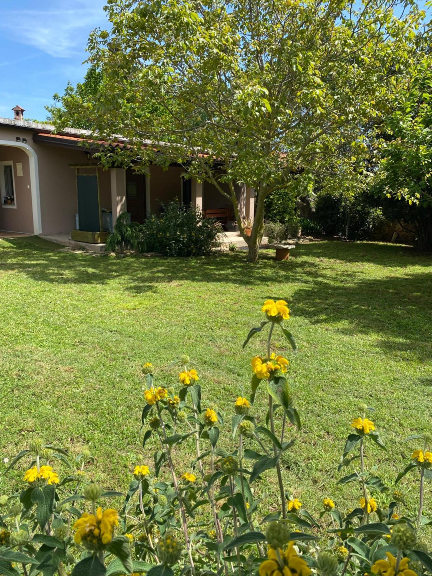 Apartman "Almond House 2" Pula Exterior photo